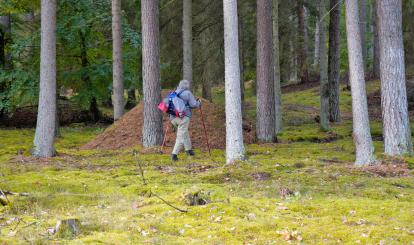 Czwarty rajd krajoznawczy “Poznaję Szwajcarię Połczyńską”