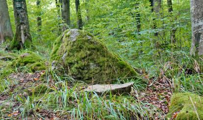 Trzeci rajd krajoznawczy “Poznaję Szwajcarię Połczyńską”