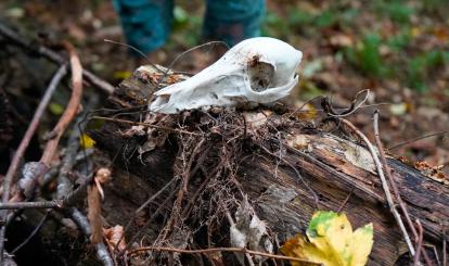 Trzeci rajd krajoznawczy “Poznaję Szwajcarię Połczyńską”