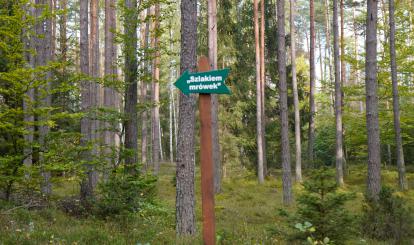 Czwarty rajd krajoznawczy “Poznaję Szwajcarię Połczyńską”