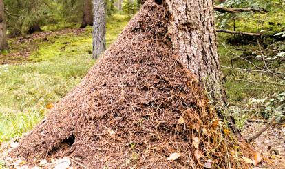 Czwarty rajd krajoznawczy “Poznaję Szwajcarię Połczyńską”