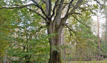 Czwarty rajd krajoznawczy “Poznaję Szwajcarię Połczyńską”
