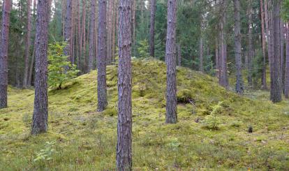 Czwarty rajd krajoznawczy “Poznaję Szwajcarię Połczyńską”