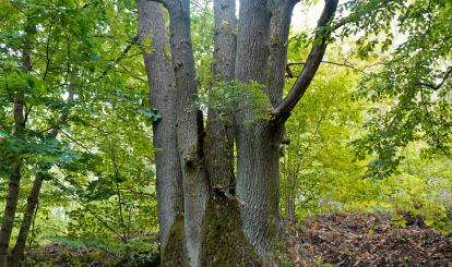 Trzeci rajd krajoznawczy “Poznaję Szwajcarię Połczyńską”