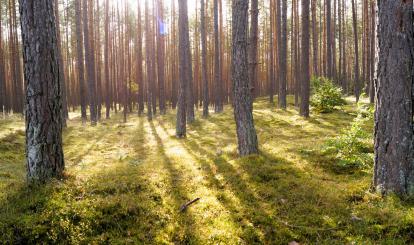 Czwarty rajd krajoznawczy “Poznaję Szwajcarię Połczyńską”