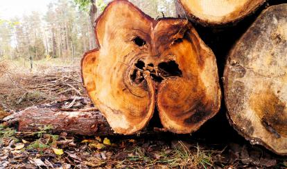 Czwarty rajd krajoznawczy “Poznaję Szwajcarię Połczyńską”