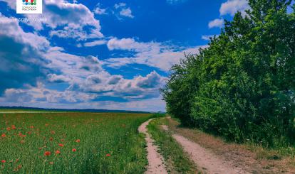 Fot. Marcin Catewicz