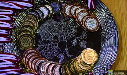 XV edycja Ogólnopolskiego Turnieju w Mini Piłce Siatkowej Dziewcząt o Puchar Burmistrza Połczyna-Zdroju