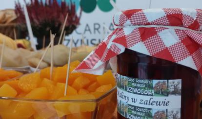 Dni Zdrowia w Templinie