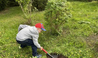 Józek kopie dołek pod sadzonkę jarzębiny