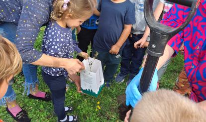 Motylki sadzą swoje drzewko