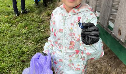 Pszczółki sprzątały teren przy boisku