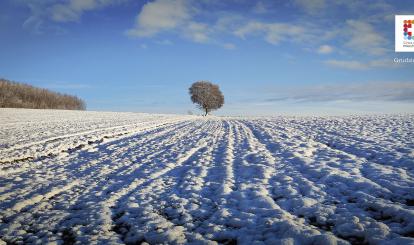 Fot. Marcin Catewicz