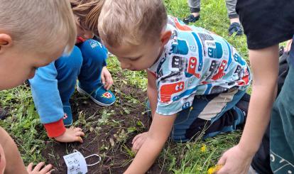 Sadzenie drzewka w Biedronkach