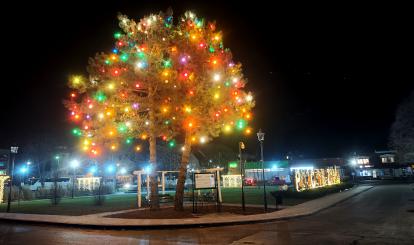 Iluminacja świąteczna