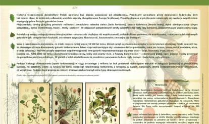 TABLICA - ROŚLINNOŚĆ EPOKI LODOWCOWEJ