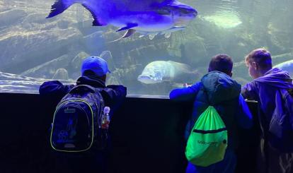 Wyjazdy edukacyjne uczniów szkół podstawowych Gminy Połczyn-Zdrój do Międzyzdrojów