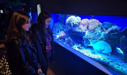 Wyjazdy edukacyjne uczniów szkół podstawowych Gminy Połczyn-Zdrój do Międzyzdrojów