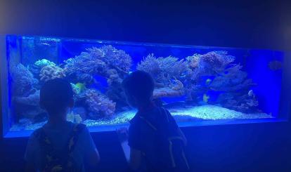 Wyjazdy edukacyjne uczniów szkół podstawowych Gminy Połczyn-Zdrój do Międzyzdrojów