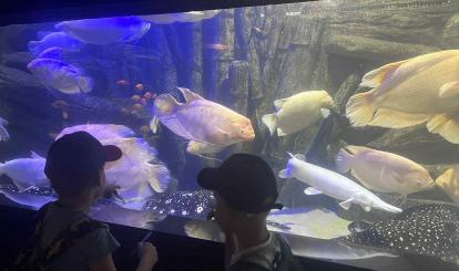 Wyjazdy edukacyjne uczniów szkół podstawowych Gminy Połczyn-Zdrój do Międzyzdrojów