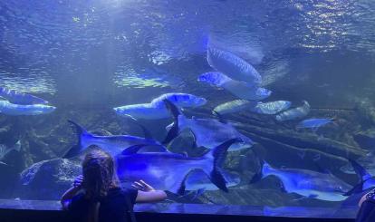 Wyjazdy edukacyjne uczniów szkół podstawowych Gminy Połczyn-Zdrój do Międzyzdrojów