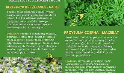 Stowarzyszenie terapii sztuką „Kolorowo Żyj” - plakat