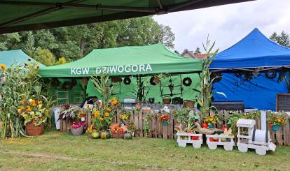 Stoisko Sołectwo Przyrowo i KGW Dziwogóra