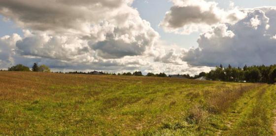 Powstańców Warszawskich – działki przy samym uzdrowisku