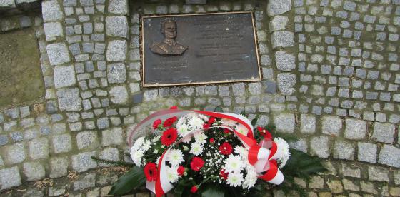 Kwiaty pod pomnikiem