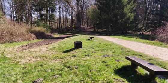 Miejsce na łąkę kwietną w połczyńskim Parku Zdrojowym
