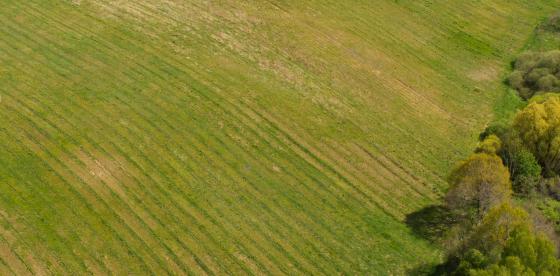 Rola. Zdjęcie przykładowe. UM Połczyn-Zdrój