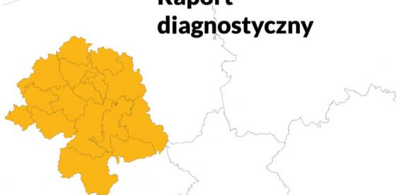 Raport diagnostyczny