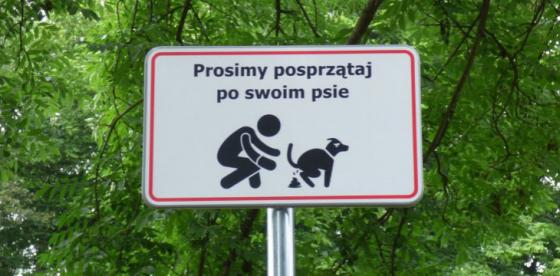 500 zł kary za niesprzątnięcie odchodów