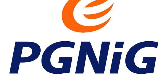 Logo PGNiG
