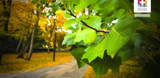Ściągnij tapety Szwajcarii Połczyńskiej - krajobrazy październikowe