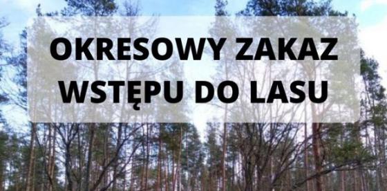 Okresowy zakaz wstępu do lasu