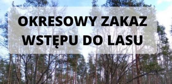 Zakaz wstępu lasu