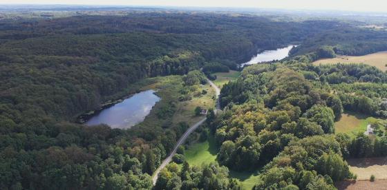 ZAWIADOMIENIE O TERMINIE BRAKU PRZEJAZDU DROGĄ DW163