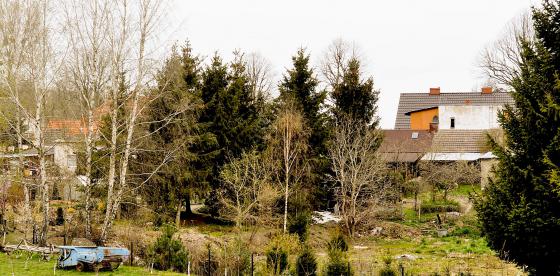 Zamieszkaj przy Szczecineckiej