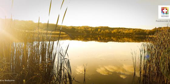 Zalew w Borkowie