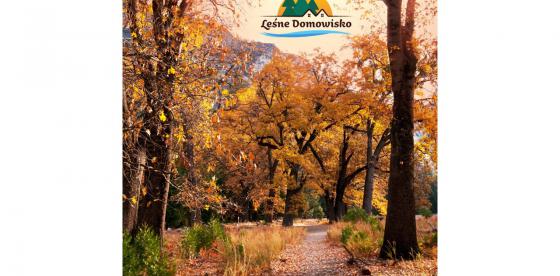 Leśne Domowisko- otoczenie