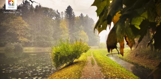 STAW DOLNY W PARKU ZDROJOWYM