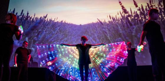  I Gala Barwnych Motyli