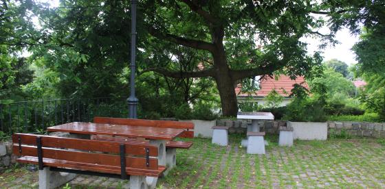 „Ławeczka dla Seniora” na zamkowym dziedzińcu w Połczynie-Zdroju