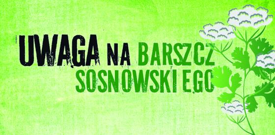 Barszcz Sosnowskiego- plakat