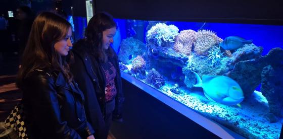 Wyjazdy edukacyjne uczniów szkół podstawowych Gminy Połczyn-Zdrój do Międzyzdrojów