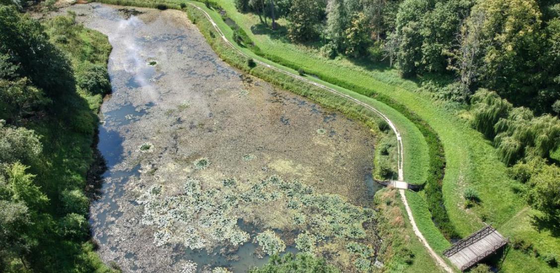 Staw południowy w połczyńskim Parku Zdrojowym