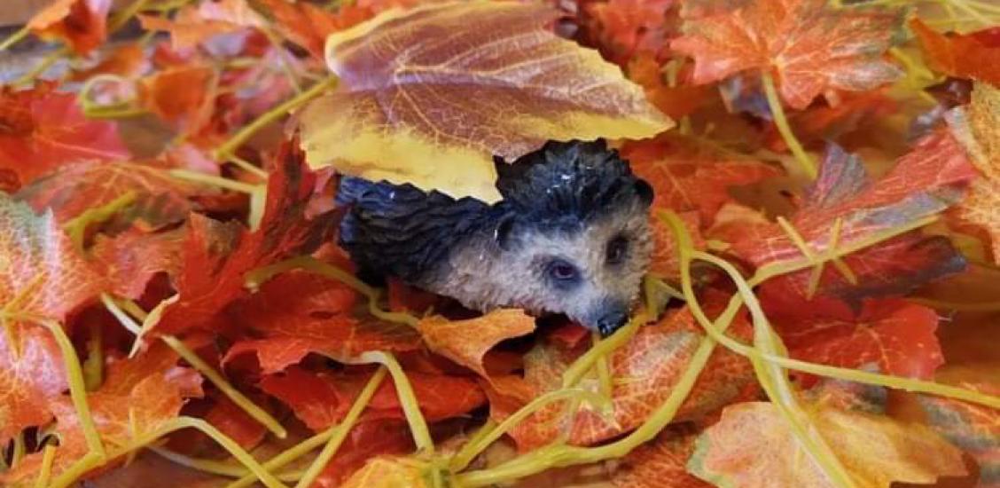 „A wśród liści jeżyk śpi”