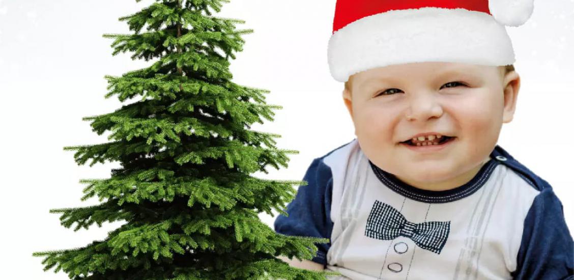 Plakat kup drzewko - pomóż Kajtusiowi