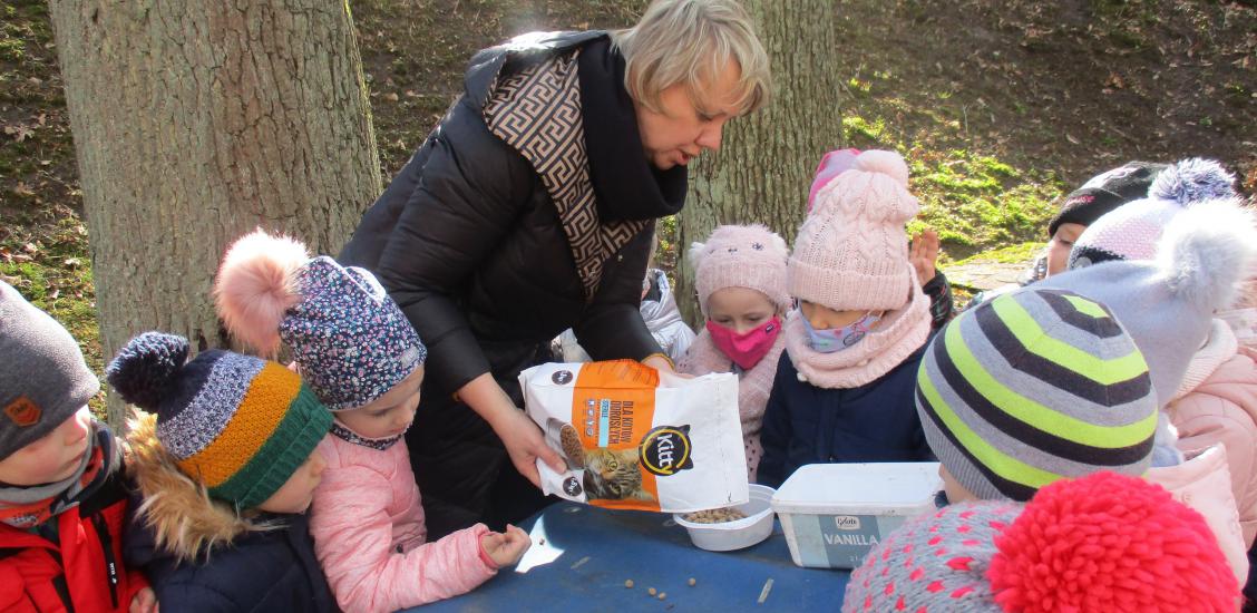 Pamiętamy o bezdomnych kotach i psach